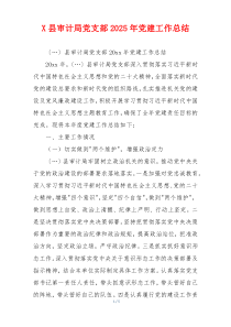 X县审计局党支部2025年党建工作总结