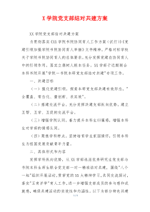 X学院党支部结对共建方案