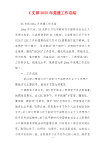 X支部2025年党建工作总结