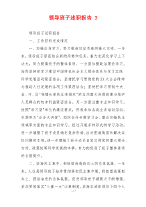 领导班子述职报告 3