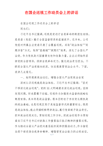 在国企巡视工作动员会上的讲话
