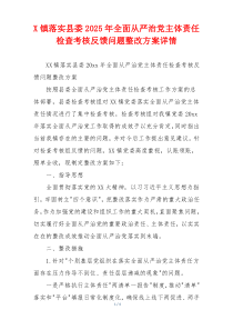 X镇落实县委2025年全面从严治党主体责任检查考核反馈问题整改方案详情