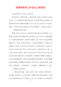 在城市防洪工作会议上的讲话