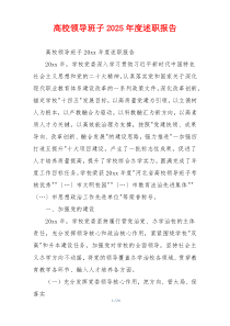 高校领导班子2025年度述职报告