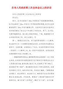 在市人民政府第三次全体会议上的讲话