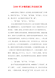[2300字]乡镇党建工作总结汇报