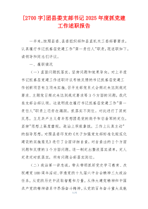 [2700字]团县委支部书记2025年度抓党建工作述职报告