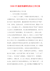 [3000字]基层党建特色亮点工作汇报