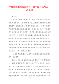 在推进市委市政府双“一号工程”动员会上的讲话