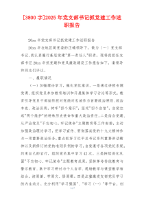 [3800字]2025年党支部书记抓党建工作述职报告