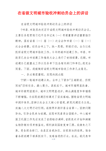 在省级文明城市验收冲刺动员会上的讲话