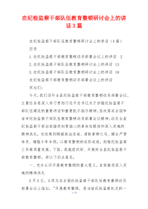在纪检监察干部队伍教育整顿研讨会上的讲话3篇