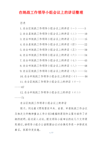 在统战工作领导小组会议上的讲话整理