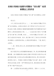 在统计局统计造假专项整治“回头看”动员部署会上的讲话