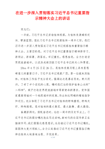 在进一步深入贯彻落实习近平总书记重要指示精神大会上的讲话