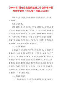 [4600字]国有企业党的建设工作会议精神贯彻落实情况“回头看”自查总结报告