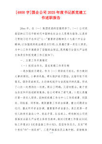 [4800字]国企公司2025年度书记抓党建工作述职报告