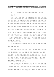 在镇林草图斑整改补植补造调度会上的讲话
