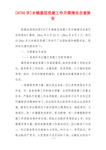 [6700字]乡镇基层党建工作开展情况自查报告