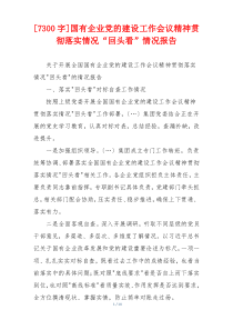[7300字]国有企业党的建设工作会议精神贯彻落实情况“回头看”情况报告