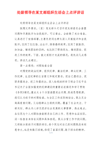 处级领导在某支部组织生活会上点评讲话