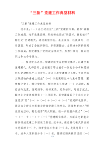 “三新”党建工作典型材料
