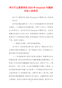 审计厅主要领导在2025年DeepSeek专题培训会上的讲话
