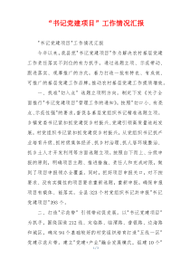 “书记党建项目”工作情况汇报
