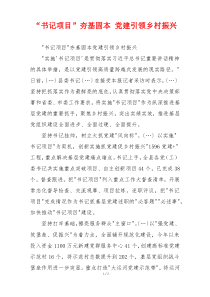 “书记项目”夯基固本 党建引领乡村振兴