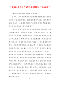 “党建+合作社”唱好乡村振兴“头角戏”
