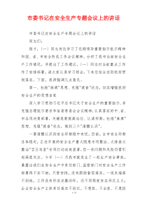 市委书记在安全生产专题会议上的讲话