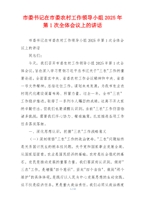 市委书记在市委农村工作领导小组2025年第1次全体会议上的讲话
