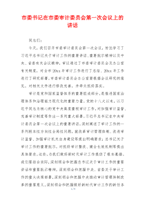 市委书记在市委审计委员会第一次会议上的讲话