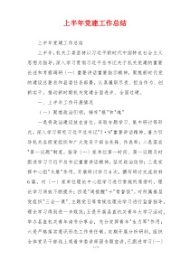 上半年党建工作总结