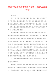 市委书记在市委审计委员会第二次会议上的讲话
