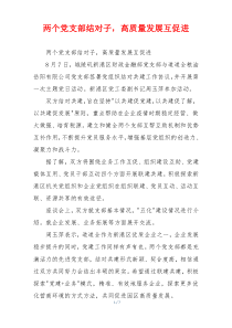 两个党支部结对子，高质量发展互促进