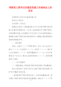 两新党工委书记在基层党建工作座谈会上的发言