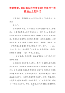 市委常委、组织部长在全市2025年驻村工作推进会上的讲话