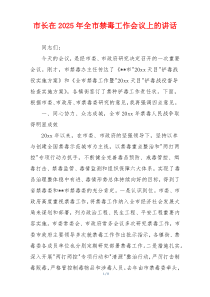 市长在2025年全市禁毒工作会议上的讲话