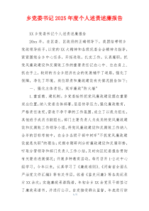 乡党委书记2025年度个人述责述廉报告
