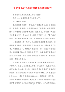 乡党委书记抓基层党建工作述职报告
