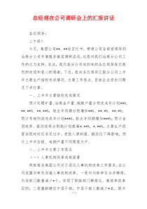 总经理在公司调研会上的汇报讲话