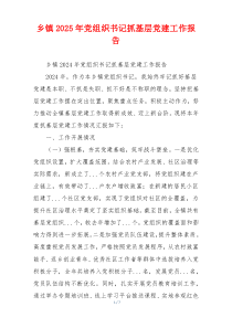 乡镇2025年党组织书记抓基层党建工作报告