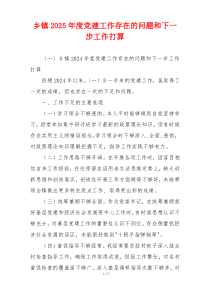 乡镇2025年度党建工作存在的问题和下一步工作打算