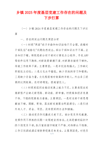 乡镇2025年度基层党建工作存在的问题及下步打算