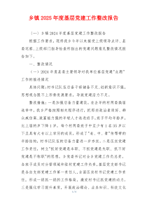 乡镇2025年度基层党建工作整改报告
