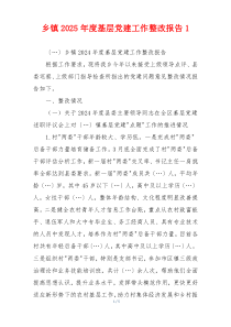 乡镇2025年度基层党建工作整改报告1