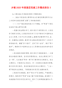 乡镇2025年度基层党建工作整改报告3