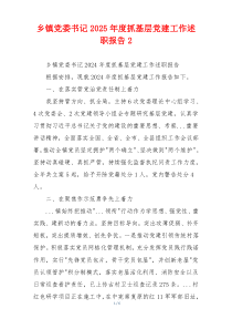 乡镇党委书记2025年度抓基层党建工作述职报告2