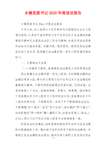 乡镇党委书记2025年度述法报告